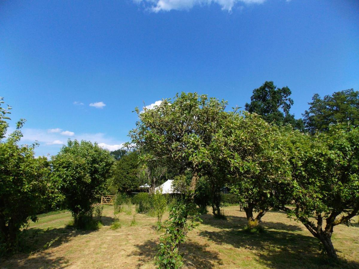 Hope Cottage Bell Tent Retreat Ashbourne  Luaran gambar